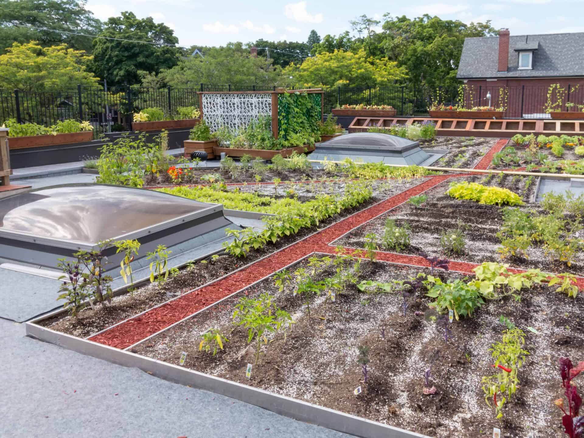 Green Roof